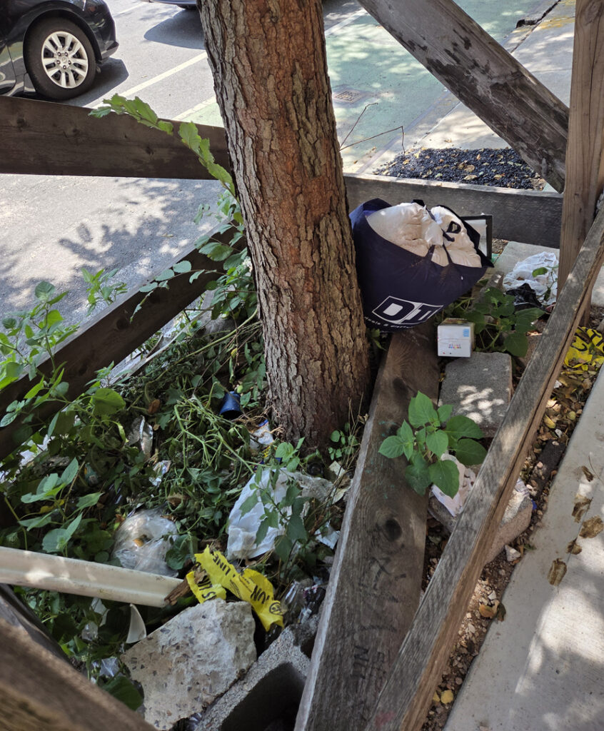 Trash in the tree pit in front of 418 4th Avenue, Brooklyn
